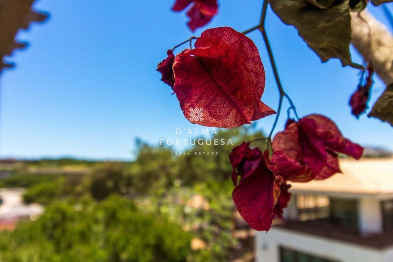D'Alma Falesia Beach Apartment - By Dalma Portuguesa Albufeira Dış mekan fotoğraf